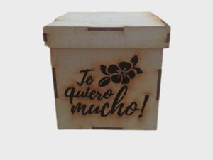 CAJA 10X10X10cm. #5